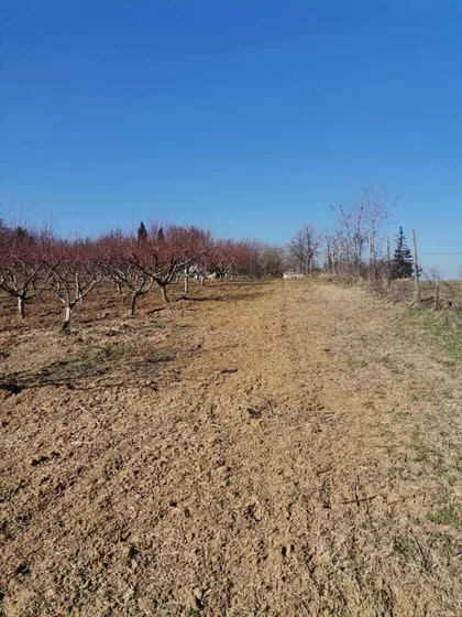 Varovničkih Ratnika | 4zida.rs