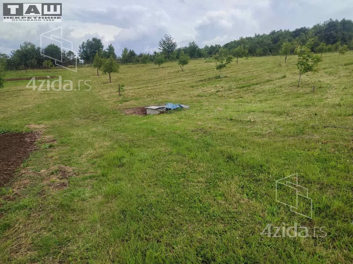Plac | 4zida