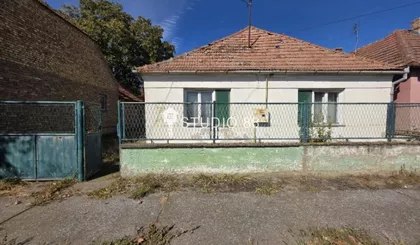 Ravni Topolovac | 4zida.rs