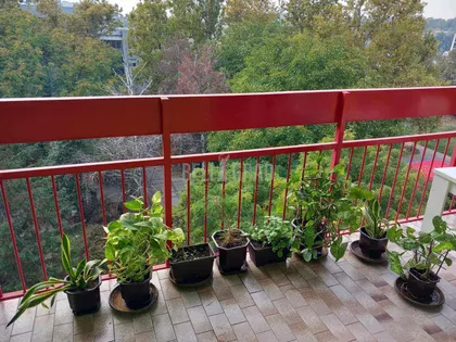 Gandijeva | 4zida.rs