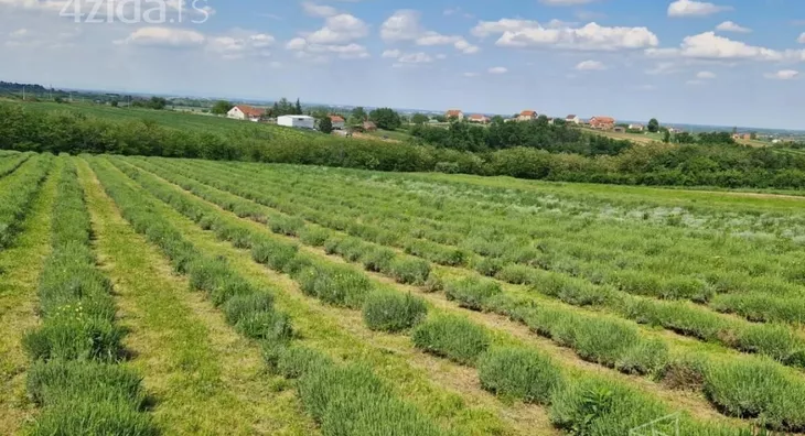 Poljoprivredno zemljište | 4zida