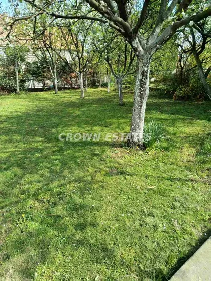 Jeliciceva | 4zida.rs