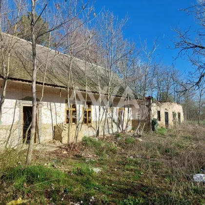 Bački Brestovac | 4zida.rs