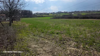 Ljubomira Pavlovića | 4zida.rs