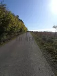 Plac | 4zida