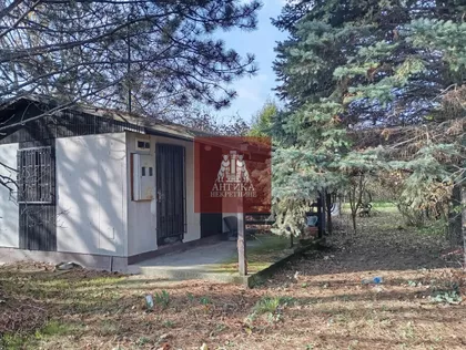 MITRA TRIFUNOVICA UCE | 4zida.rs