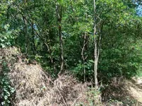 Brestovac, Okolne lokacije, Knić | 4zida.rs
