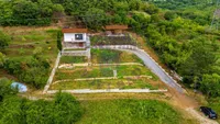 Bocke, Sremska Kamenica, Gradske lokacije, Novi Sad | 4zida.rs | 4zida.rs