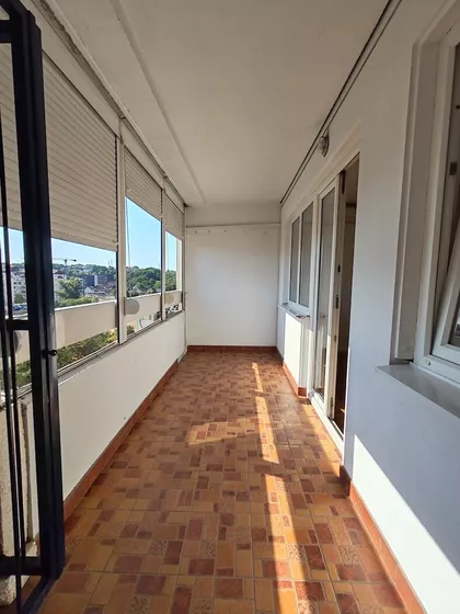 Dr Ivana Ribara | 4zida.rs