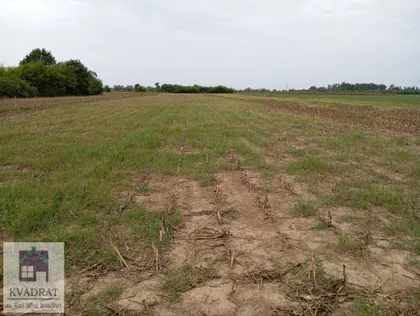 Zvečka | 4zida.rs