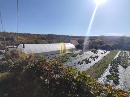 Sremska Kamenica | 4zida.rs