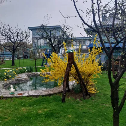 Starine Novaka 8 | 4zida.rs