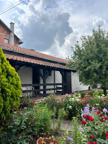 Borča | 4zida.rs