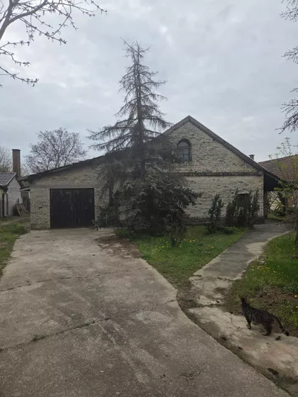 Srpski Šor | 4zida.rs