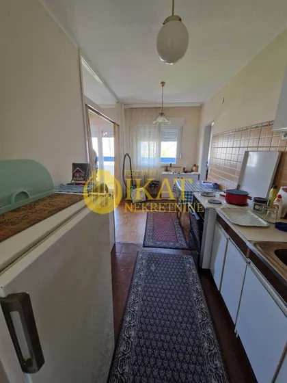 Dr Ivana Ribara | 4zida.rs