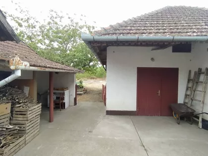 Bački Vinogradi | 4zida.rs