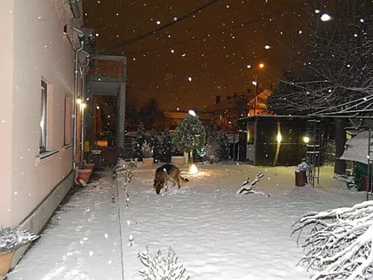 Dimitrija Tucovića | 4zida.rs