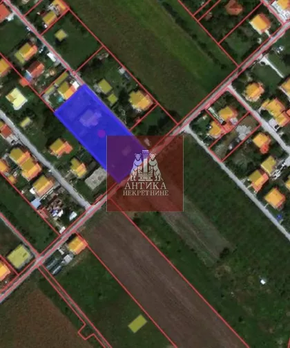 MITRA TRIFUNOVICA UCE | 4zida.rs