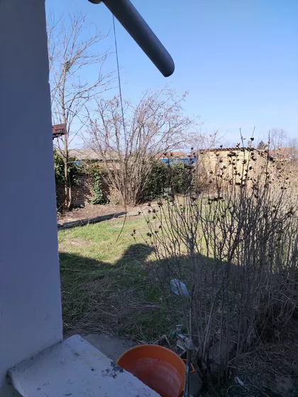 Svetozara Markovića | 4zida.rs