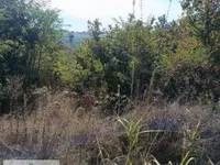 Jasenak, Obrenovac opština, Beograd | 4zida.rs