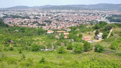Delijski Vis | 4zida.rs
