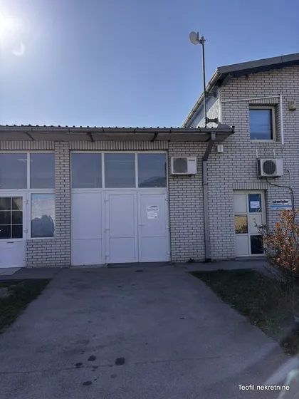 Pita Maravića | 4zida.rs