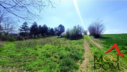 Čortanovci | 4zida.rs