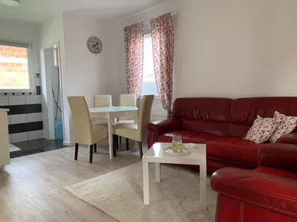 Zemun Polje | 4zida.rs