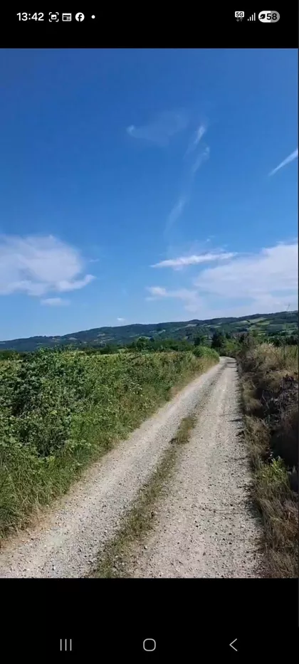 Ljutice | 4zida.rs