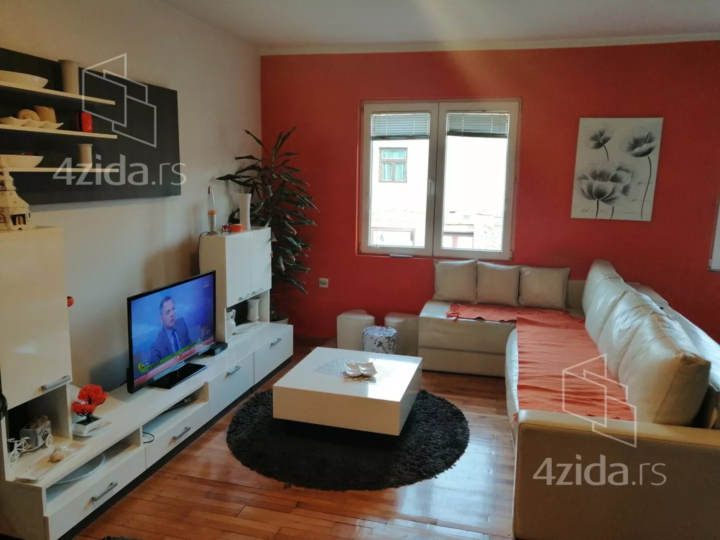 Lokal | 4zida