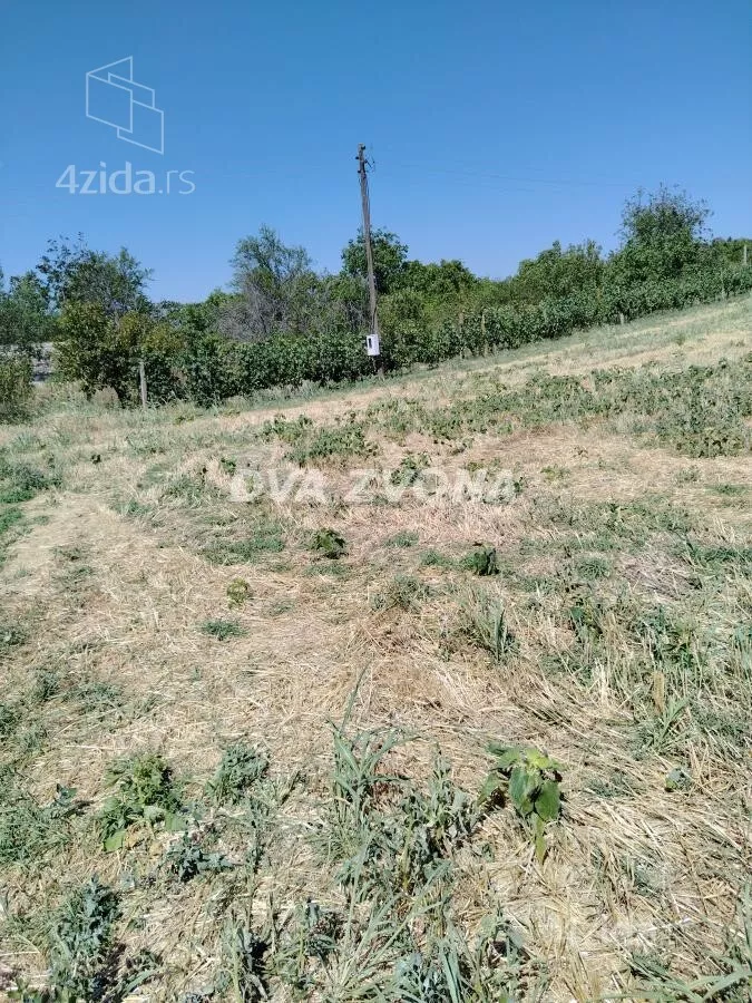 Plac | 4zida