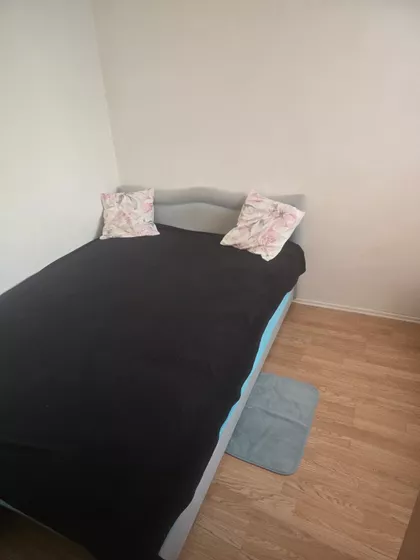 Mitra Trifunovića Uče | 4zida.rs