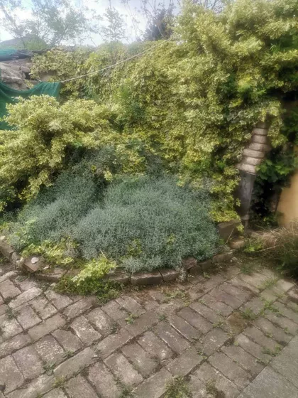 Novi Grad | 4zida.rs