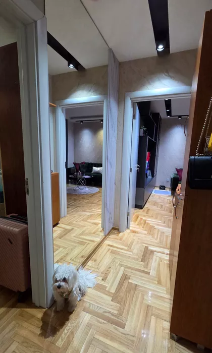 Ljubiše Miodragovića 34D | 4zida.rs
