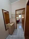 Banatić, Gradske lokacije, Novi Sad | 4zida.rs | 4zida.rs