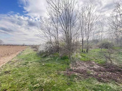 Kosmajska | 4zida.rs