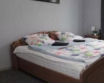 Zeleni Venac | 4zida.rs