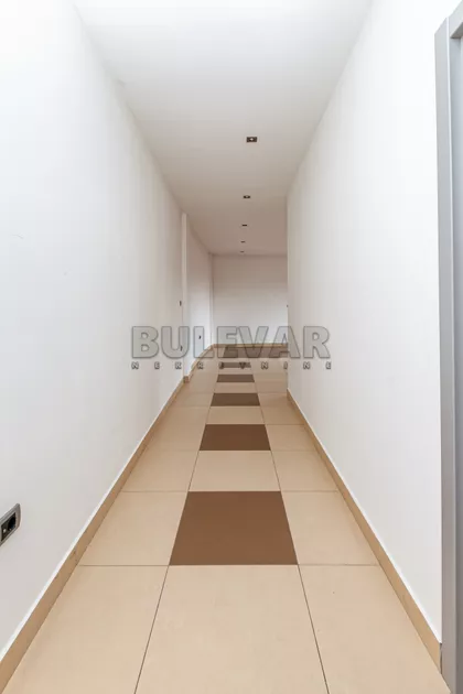 Cara Dušana | 4zida.rs