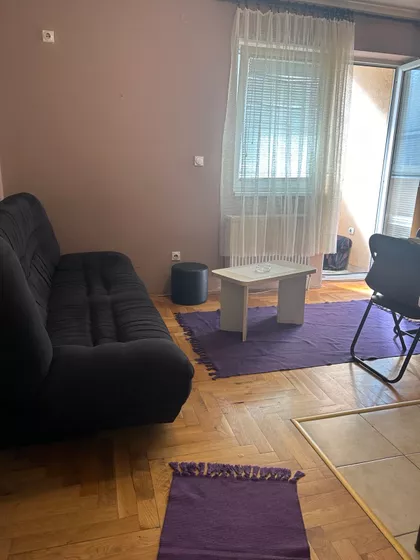 Dr Svetislava Kasapinovića | 4zida.rs