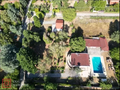 Trešnja | 4zida.rs