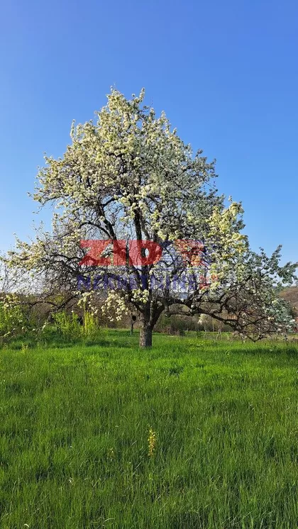 Kosmaj | 4zida.rs