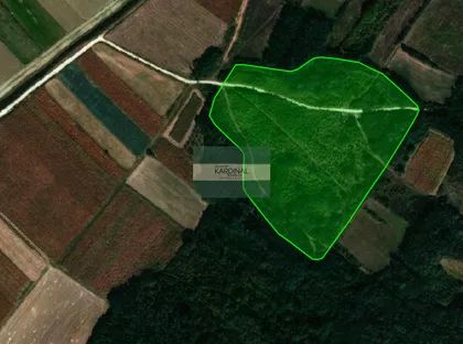 Dragocvet | 4zida.rs