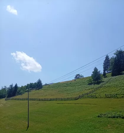 Zaovine | 4zida.rs