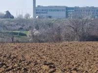 Mišeluk, Petrovaradin, Gradske lokacije, Novi Sad | 4zida.rs