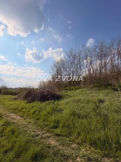 Čortanovci | 4zida.rs