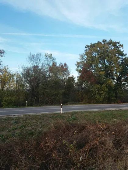 Miodraga Petrovića Čkalje | 4zida.rs