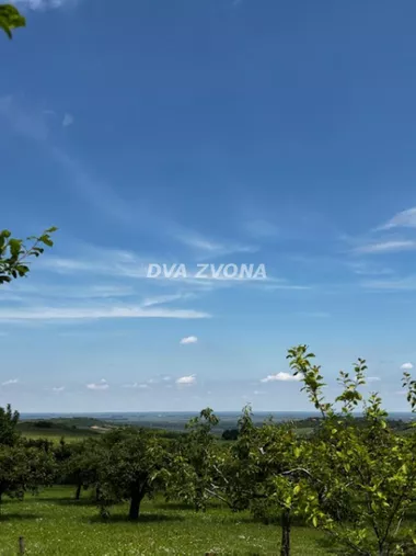 Čortanovci
