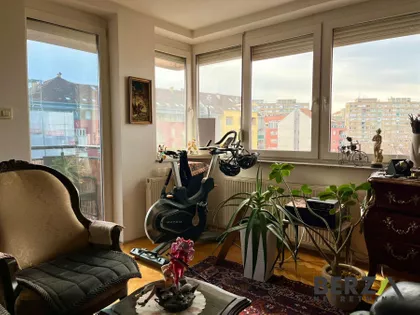 Socijalno | 4zida.rs