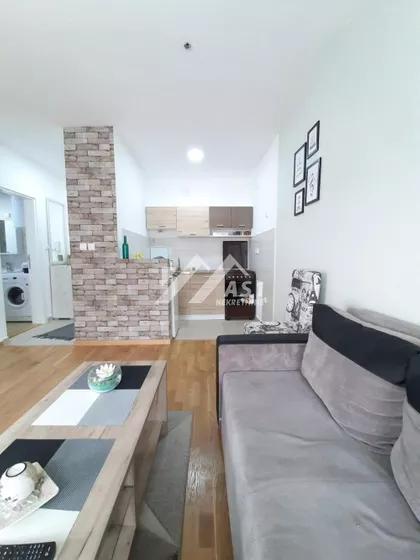 Kopernikova | 4zida.rs