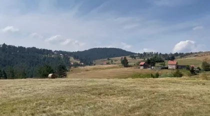 Kobilja Glava | 4zida.rs